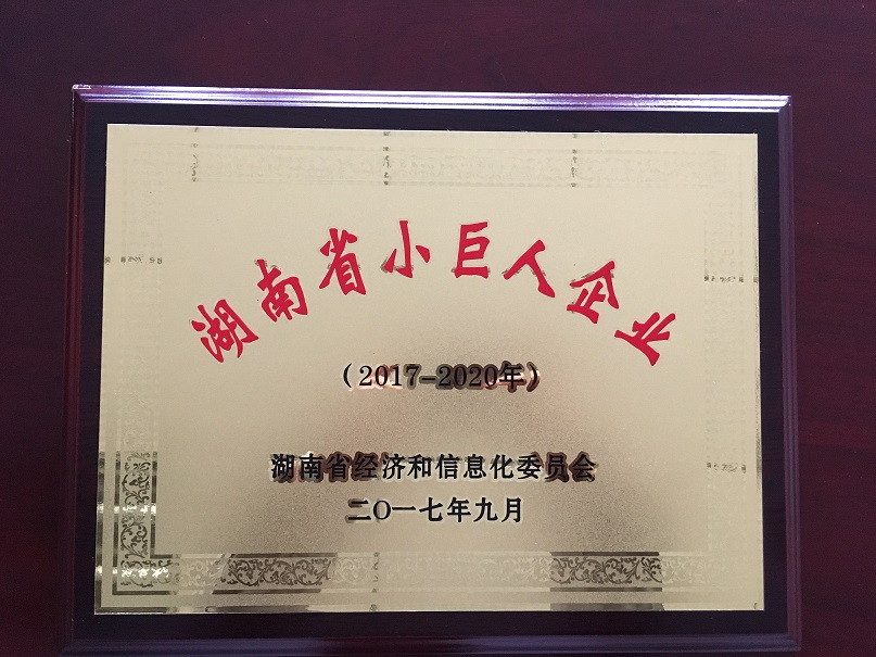 我司順利通過湖南省小巨人企業認定